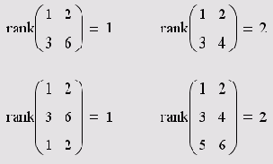 ���� �������